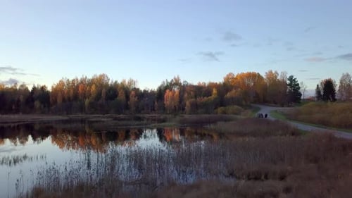 Millennial guy piloting drone over the pond in the autumn evening, standing besides the car on the r