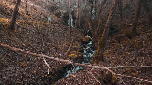 Narrow River With Shallow Water Flowing Through The Forest With Hiking Trail. - aerial shot