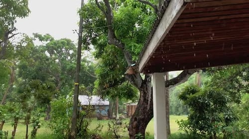 Tropical Rain Showers over Lush Green Landscape