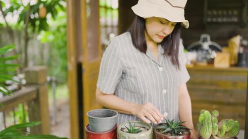 Woman Tending Small Potted Plants