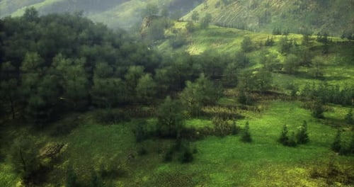Lush Green Landscape with Rolling Hills and a Forested Area in Daylight