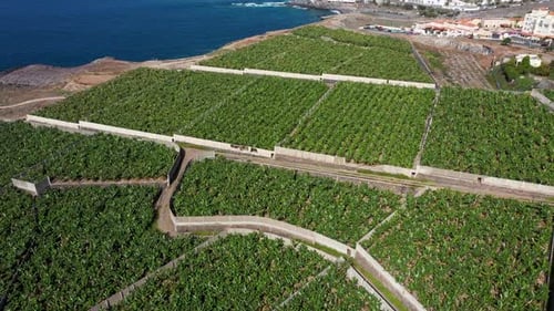 Aerial drone footage of the beautiful town of Costa Adeje, Santa Cruz de Tenerife in Spain