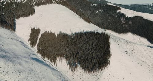 Drone flies high above patches of evergreen forest on snow covered mountains with cold frozen winter