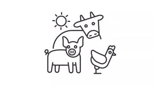 Line Art Drawing Animation of Farm Animals and Sun Icons