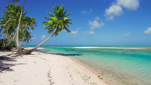 Reise-, Meer- und Naturkonzept — Tropischer Strand mit Palmen