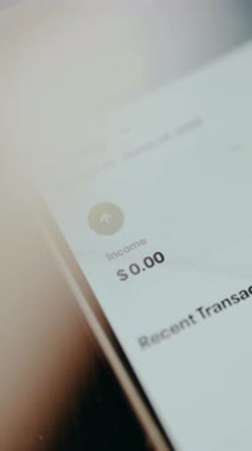 Zero Income on Smartphone Application Financial Technology