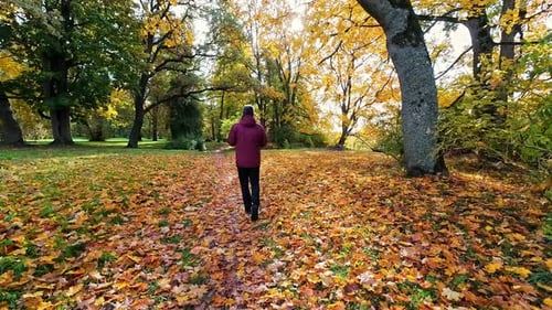 Mann geht im Park spazieren, bedeckt mit buntem Herbstlaub, Rückansicht