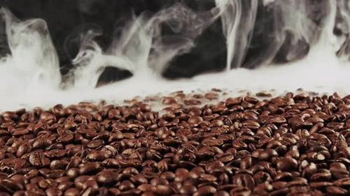 Close Up of Coffee Beans with Steam