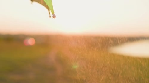 Clear Droplets Fall From Parasol in Field