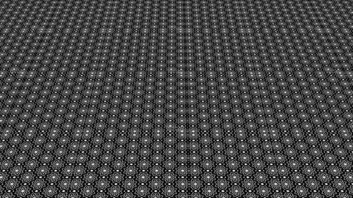 Padrão de flores geométricas em preto e branco V2