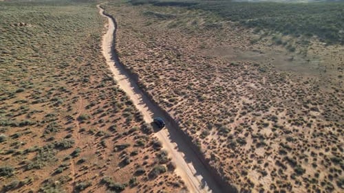 SUV on Desert Path with Shrubland