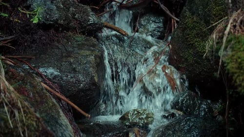 Mountain Water Stream or River in Forest
