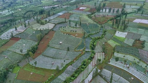 Flying above agricultural field on highland mountain slope.