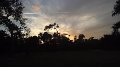 Sunset providing colorful clouds with trees in silhouette