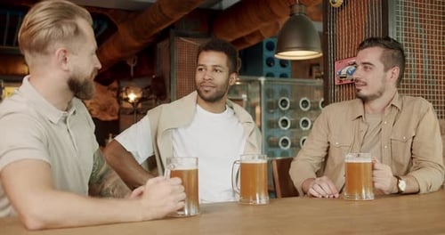 Friends Chatting and Drinking Beer at Bar