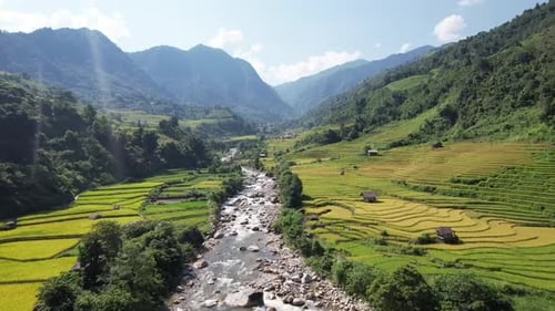 Scenic View of Terraced Rice Fields in Sapa, Vietnam