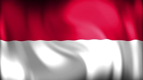 Waving Flag Background Loop Animation