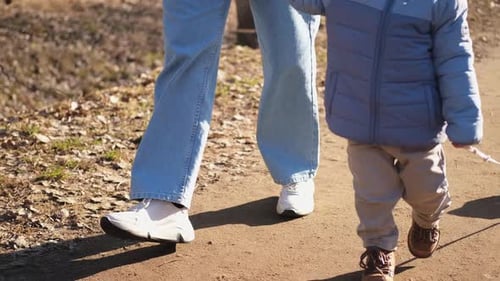 Happy Family Outdoor Mother and Her Child on Walk in Park Mom Holding Baby Hand Walking with Child