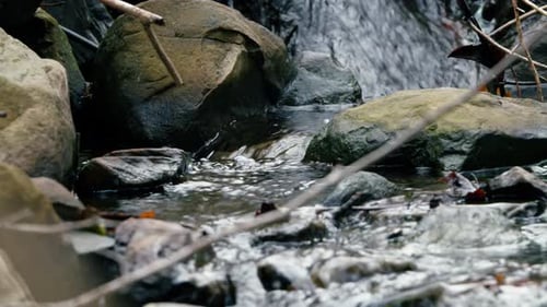 River Deep in a Mountain Forest Composition of Nature