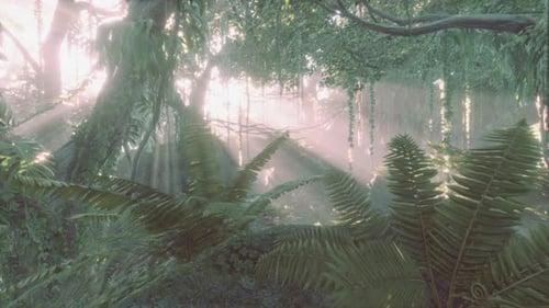 Jungle brumeuse dans les monts de Chiang Dao