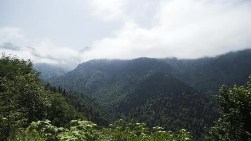 Aerial Foggy Mountain Landscape With Green Trees 4K