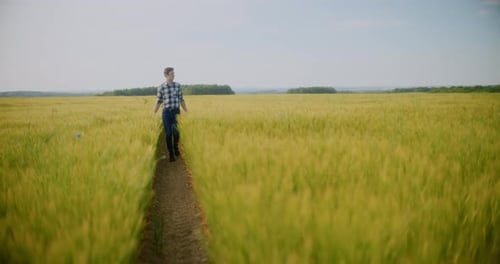 Young Adult Walks Through Wheat Field on Path