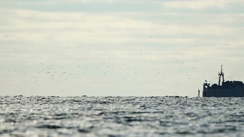 Fishing Boat Trawler Catches Fish While Sailing on Sea A Commercial Fishing Boat on the Horizon in a