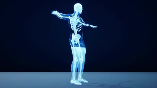 Medizinische 3D-Animation der Anatomie des menschlichen Skeletts