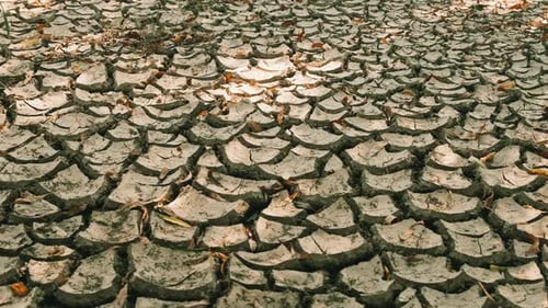 Dry Cracked Earth Reveals Environmental Damage