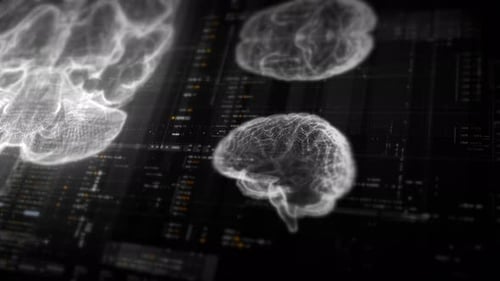 Futuristic Digital Brain Scan Animation with Data Interface