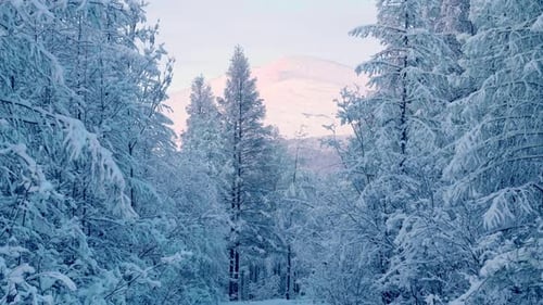 Ruhige Winterwaldlandschaft mit schneebedeckten Bergen