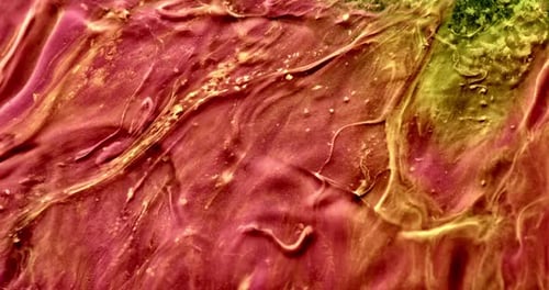 Colorful Abstract Liquid Close Up