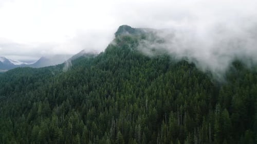 Aerial View of Beautiful Mountain Landscape Fog Rises Over the Mountain Slopes