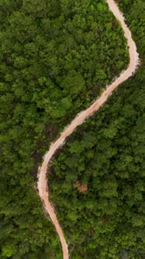 Vertical Video Aerial Encounter with RainDrenched Green Wilderness Cinematic Odyssey for Travelers