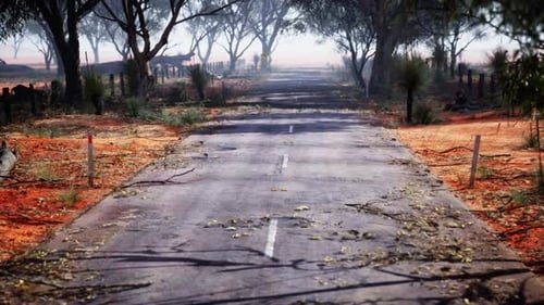 An Idyllic Rural Road Surrounded By Lush Trees