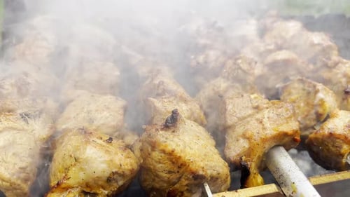 Roasting Pork on the Grill Smoked Kebabs on an Open Fire Fried Meat