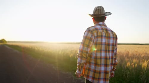 Farmer in Straw Hat Walks Along Empty Asphalt Road Near Wheat Field in Summer Outdoors Under Sun