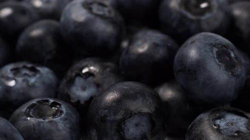 Ripe blueberries on a light background.