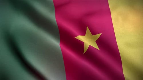 Cameroon Flag Realistic Waving Loop