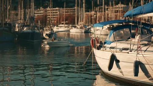 Sailboat docked in a marina with blue canopy and calm water reflections