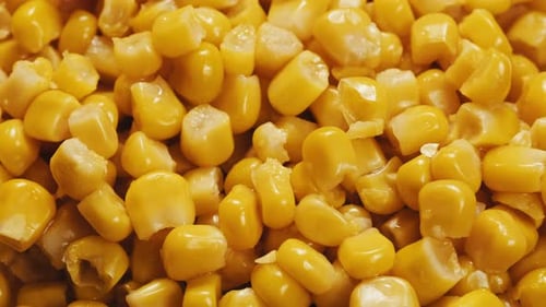 Canned Sweet Corn Macro Close Up Rotating on Dark Background Close Up on Opened Aluminum Can with