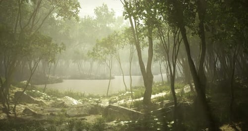 Tranquil Forest Landscape with a Serene Pond Under Soft Sunlight