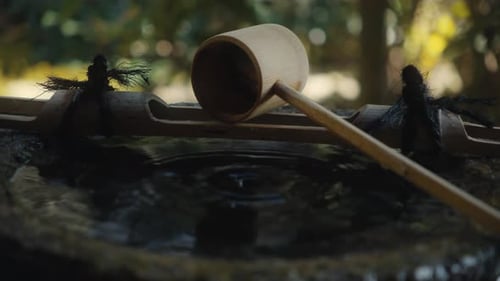 Japanese Bamboo Ladle at a Shinto Shrine Purification Fountain