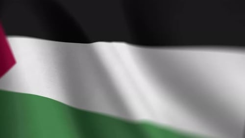 Realistic Waving Palestine Flag Seamless Loop Animation