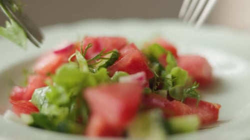 Rührt saftigen frischen Gemüsesalat mit Butter, Bio-Gemüse, Tomaten, Gurken und Radieschen um.