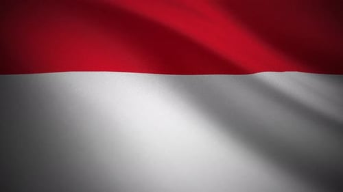 Realistic Waving Fabric Flag Background Loop