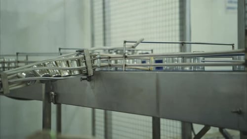 Process and production line in canned fish factory