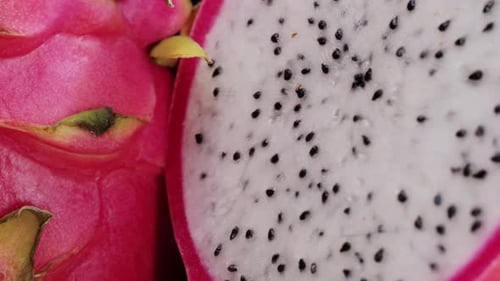 Pink Dragon Fruit Exotic Pitaya or Pitahaya is a Fruit of Several Different Cactus Species Dragon