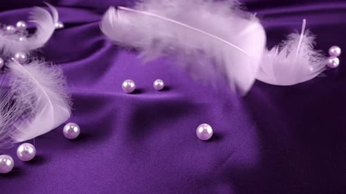 White swan feathers fall on violet silk. Slow motion.