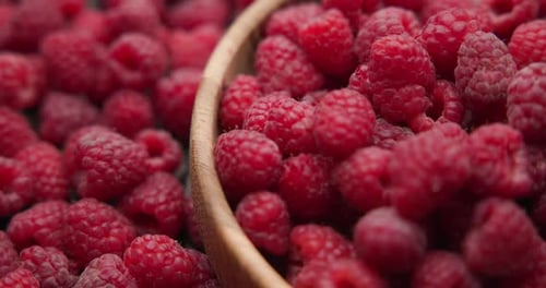 Healthy Organic Fresh Juicy Raspberry Fruit Berrie Macro Background